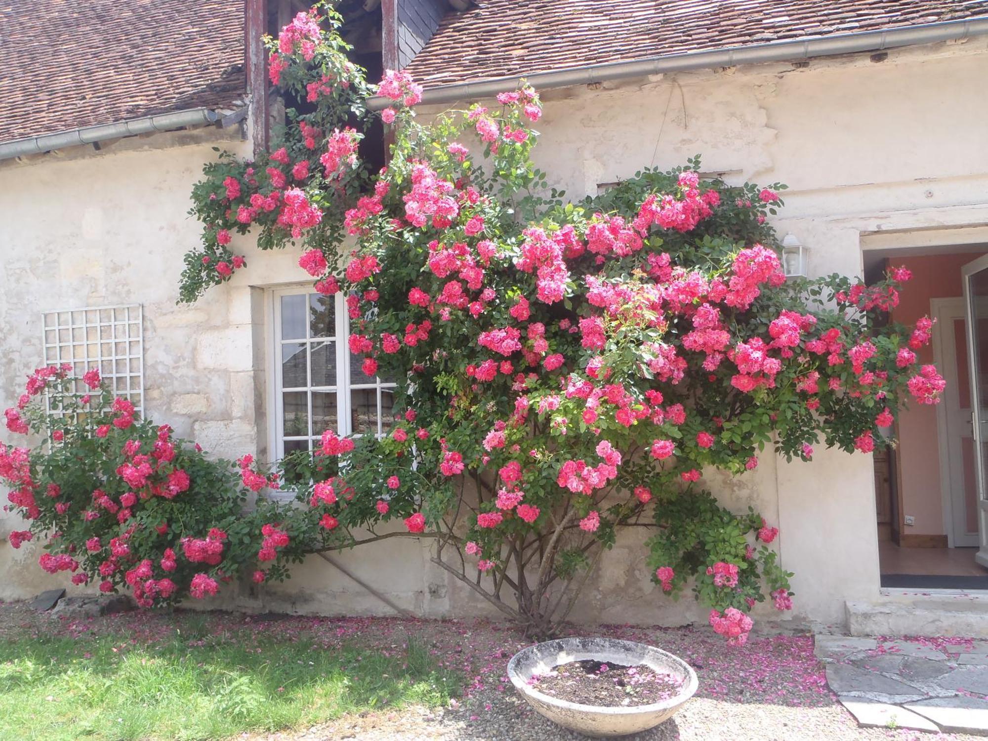 Chambres D'Hotes Du Domaine De Jacquelin Saint-Germain-du-Puy Cameră foto